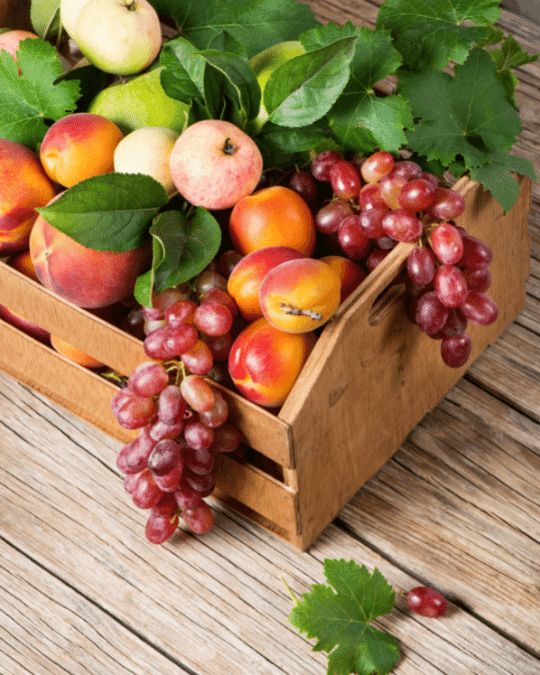 ecologie bien-etre geneve - panier fruits